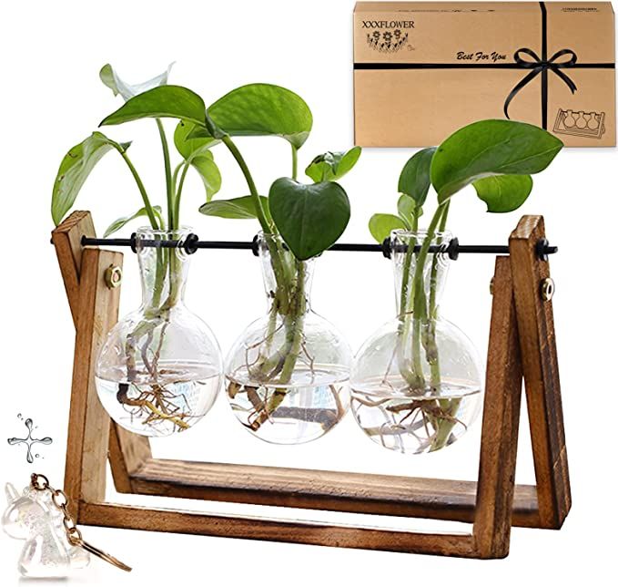 XXXFLOWER Plant Terrarium with Wooden Stand, Air Planter Bulb Glass Vase Metal Swivel Holder Retr... | Amazon (US)