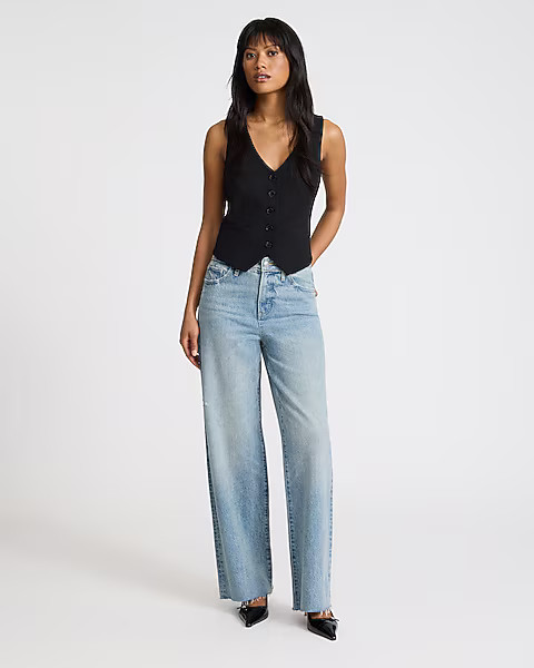 Editor Five Button Blazer Vest | Express