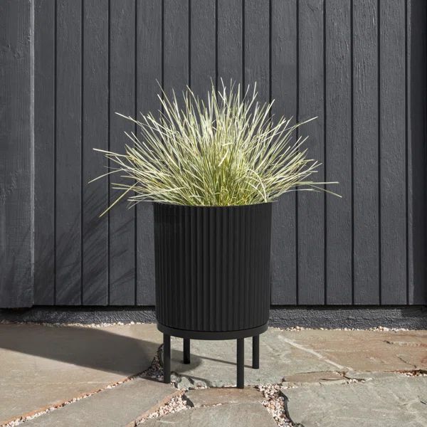 Demi Series Planter with Stand | Wayfair North America