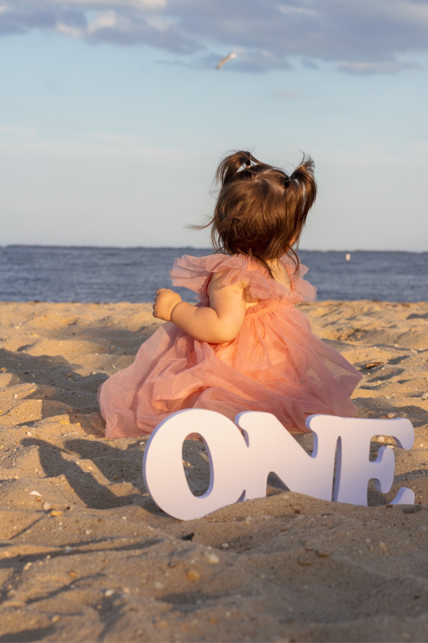 Fancy first birthday dress for photoshoot

#LTKkids #LTKfindsunder50 #LTKbaby