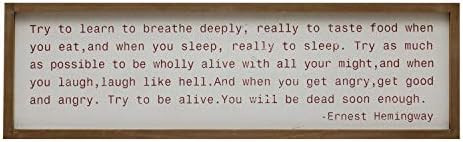 Creative Co-Op Wood Framed Saying Try to Learn… Wall Décor, Multi Color | Amazon (US)