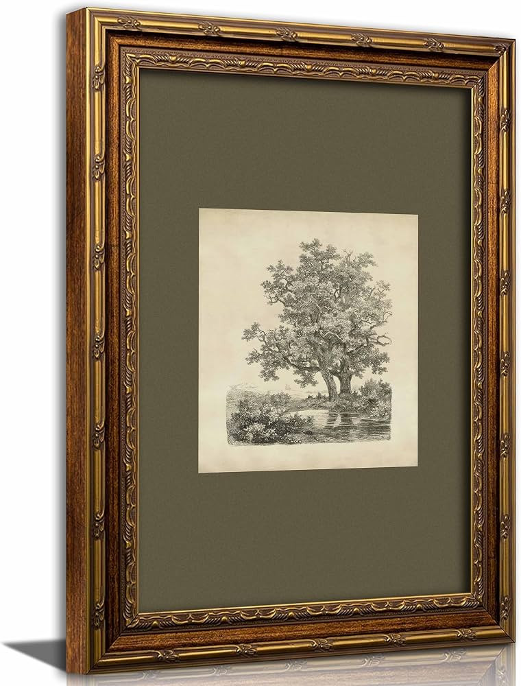 Kabcod Vintage Gold Framed Tree Wall Art Prints, Farmhouse Tree Forest Painting,Natural Sketch La... | Amazon (US)