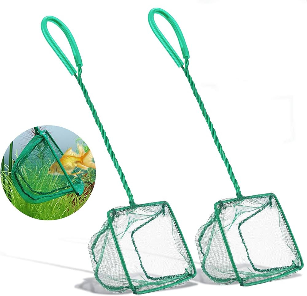 2 Pack Aquarium Fish Nets, DSSPORT 4 Inch Small Mesh Fish Catch Nets with Plastic Handle Green (P... | Amazon (US)