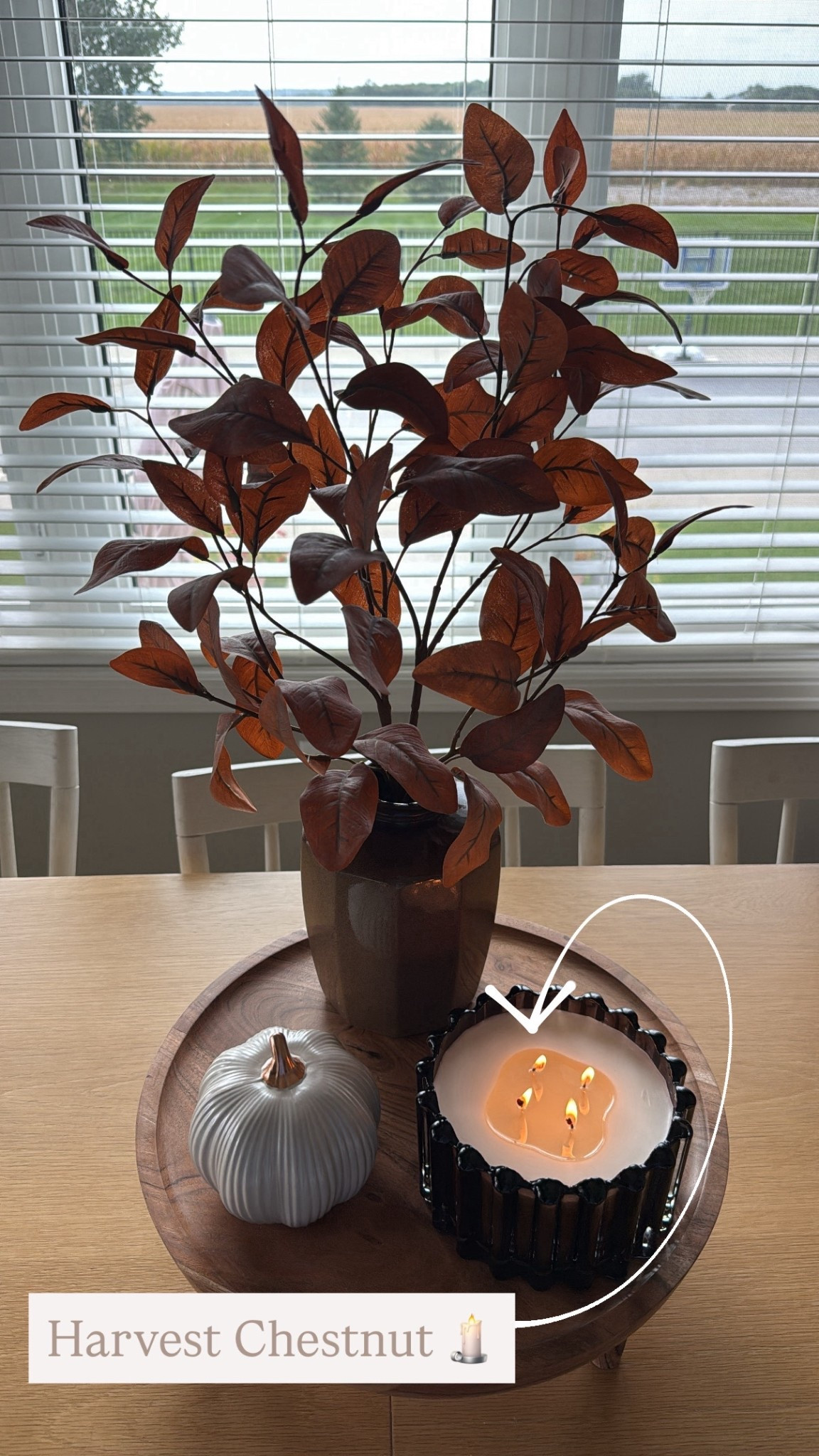 The Harvest Chestnut candle is SO good for Fall 🍂

#LTKSeasonal