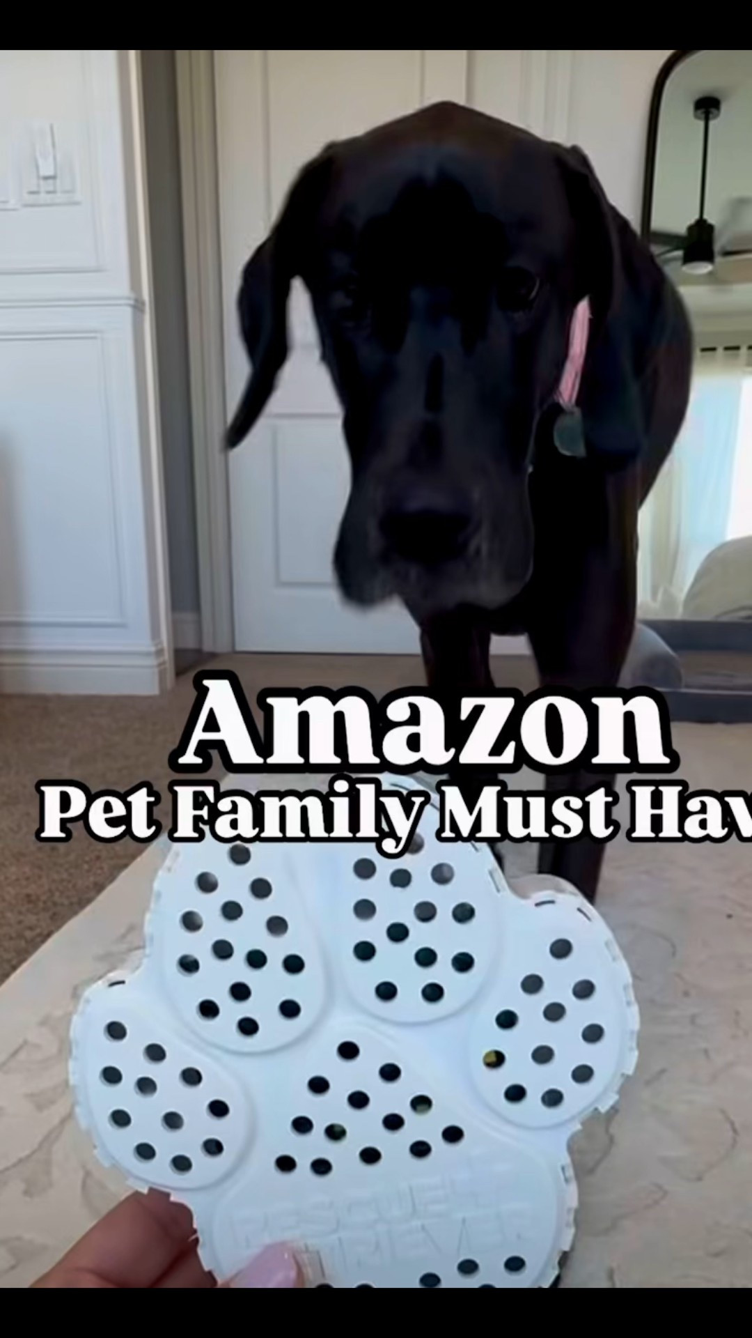 Every pet parent NEEDS! 🐾

Dog mom, pet parent, pet safety, pet find, pet home

#LTKFindsUnder50 #LTKFamily #LTKHome