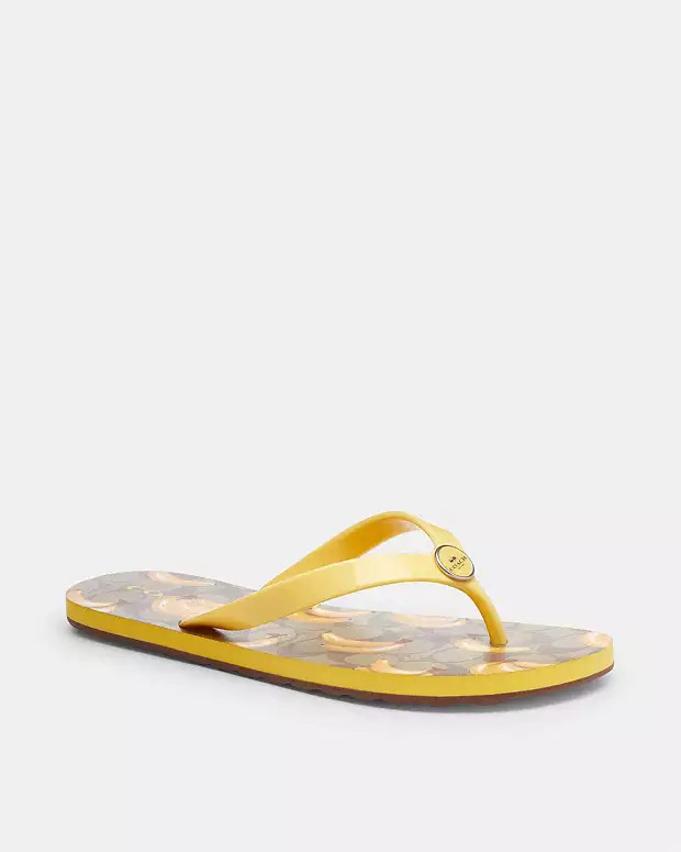 Zayn Flip Flop With Fruit Print | Coach Outlet US