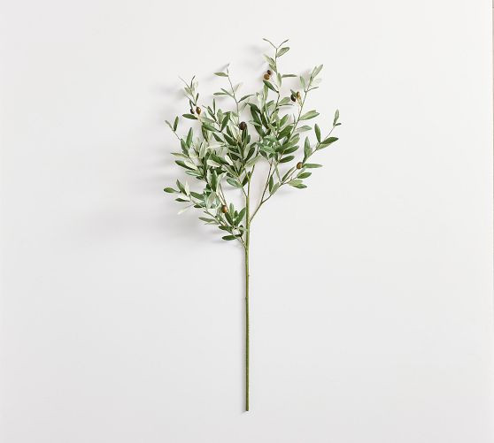 Traditional Faux Olive Branch | Pottery Barn (US)