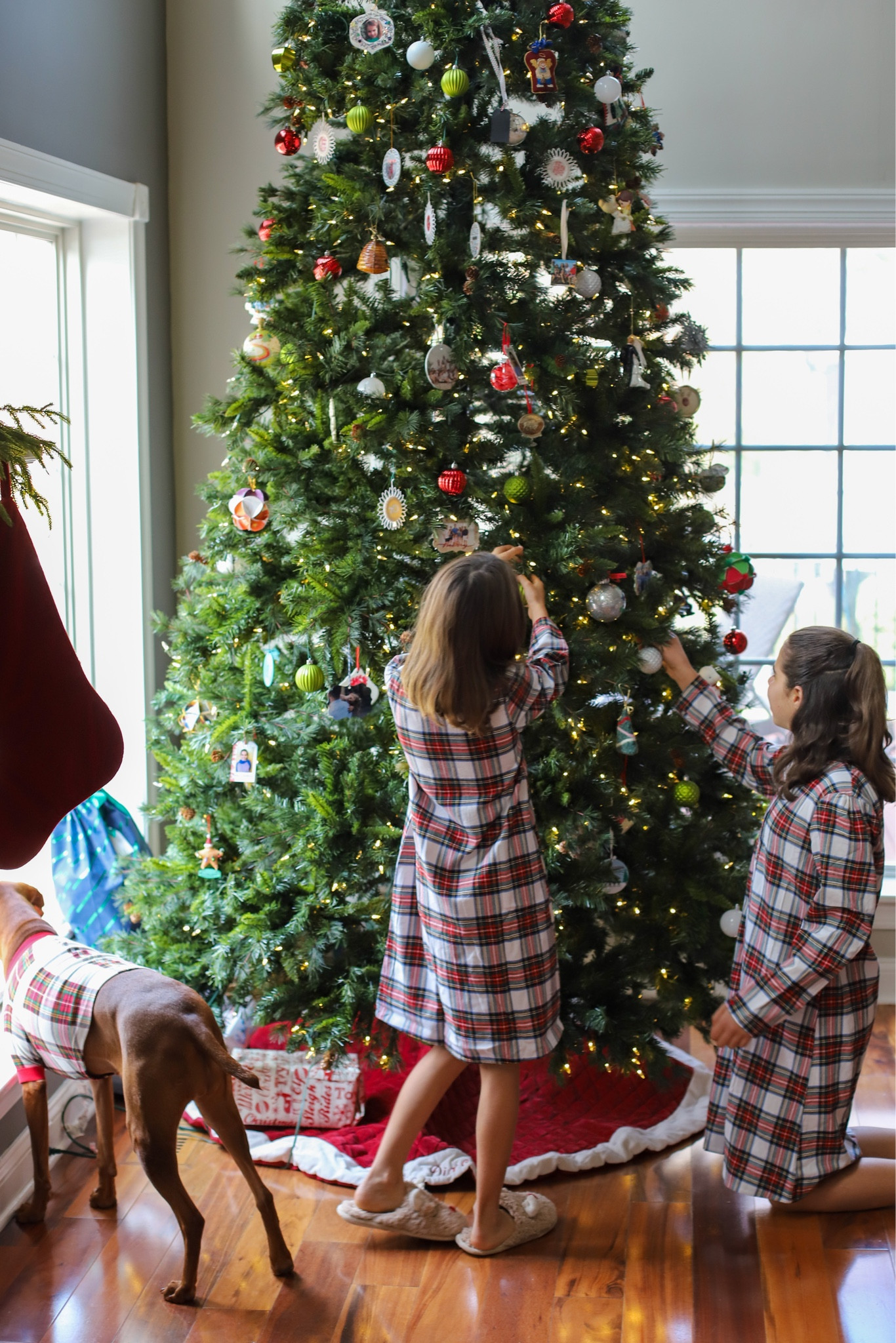 Commence cozy Christmas season! 🥰

#LTKSeasonal #LTKHoliday