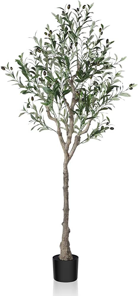 Dr.Planzen Artificial Olive Tree,5FT Tall Fake Plant Faux Olive Plants for Indoor,Natural Fake Tree,Artificial Silk Plants for Office Home Living Room Floor Patio Greening Porch Decor,Set of 1 | Amazon (US)