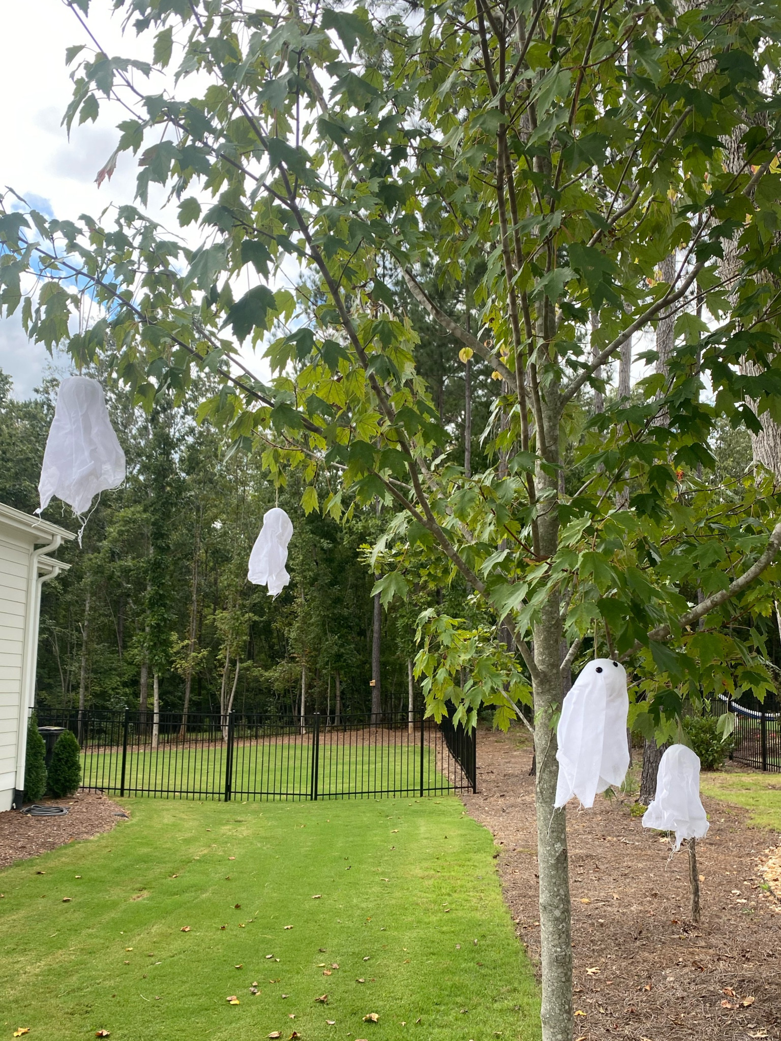 Halloween decor. Hanging ghosts. Outdoor Halloween decor. Halloween decorations. Outdoor ghosts. 

#LTKhome #LTKHalloween