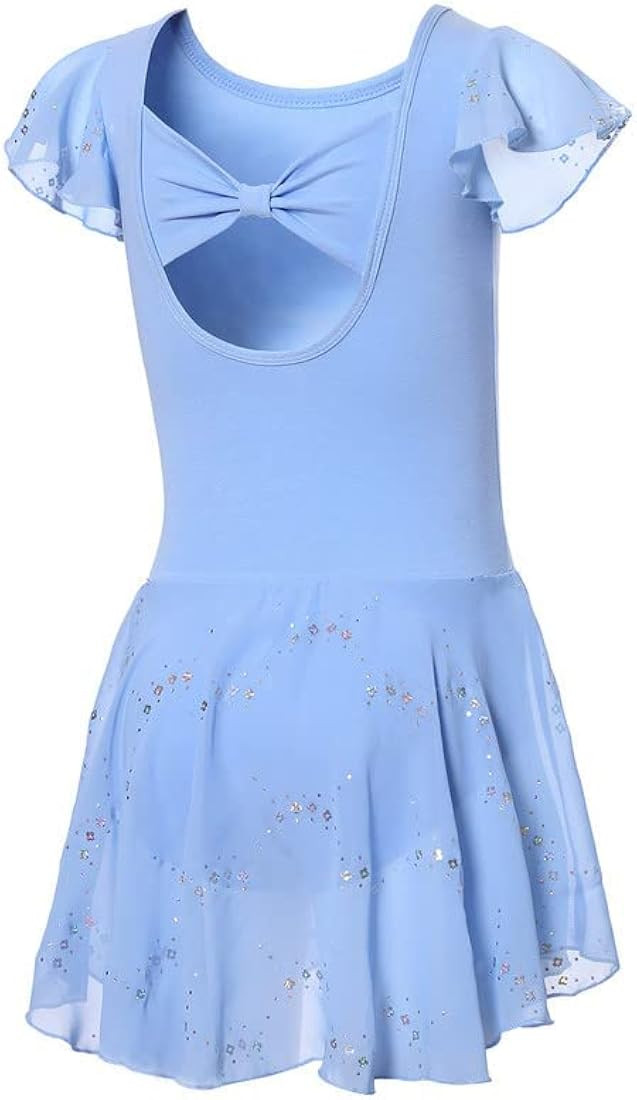 DIPUG Girls Ballet Leotard with Skirt Toddler Shiny Dance Dress with Ruffle Sleeve | Amazon (US)