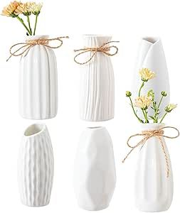 AKAGUIES Small Ceramic Vases,6 Small White Vases Set with a Brush, Modern and Warm Design Style;U... | Amazon (US)