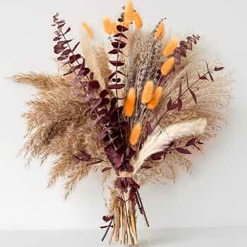 Fall Dried Flower Bouquet with Pampas Grass, Orange Bunny Tails, Lavender & Red Eucalyptus –Boh... | Amazon (US)