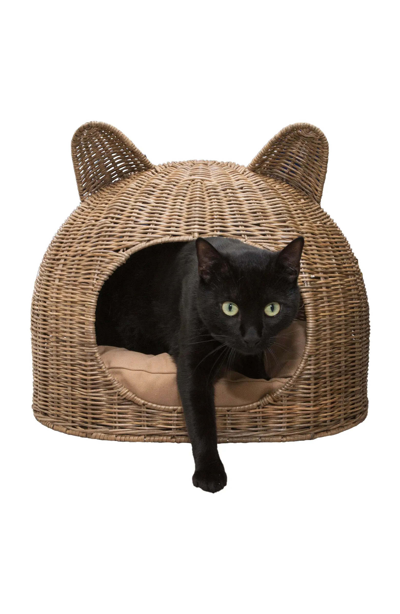 Cat Ear 20" x 14.5" Coastal Handwoven Rattan Pet Bed with Machine-Washable Cushion | Nordstrom