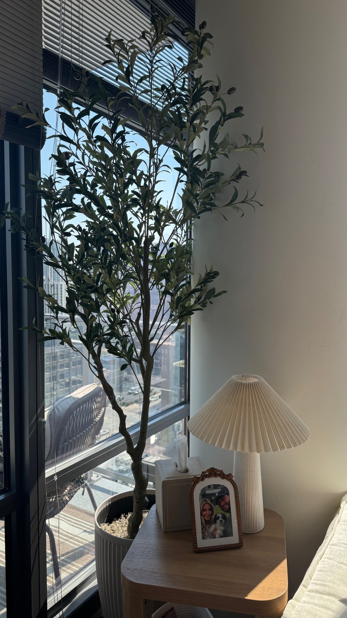 Amazon home decor
Amazon prime day sale 
Olive tree
Living room decor 
Home decor 


#LTKHome #LTKFindsUnder100 #LTKFindsUnder50