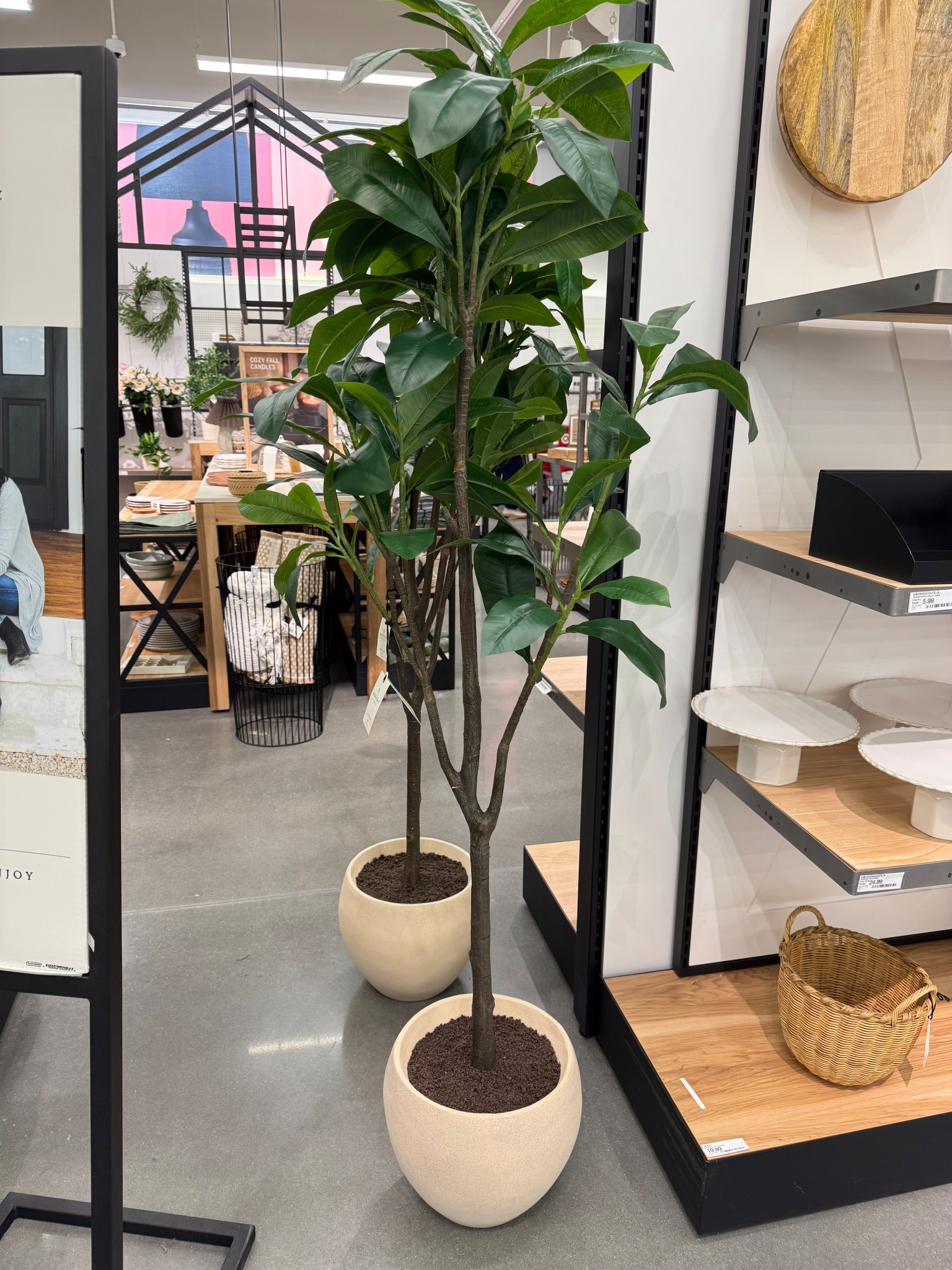 New Target Home Decor // love how chic this tree is! 

Home decor, faux plants, faux tree, target home decor, spring refresh 

#LTKHome #LTKSeasonal #LTKFindsUnder100