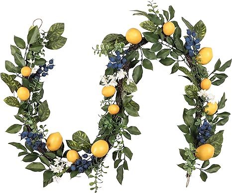 Valery Madelyn 6 Feet Spring Fruit Garland with Artificial Lemons, Blueberry and Green Leaves, Su... | Amazon (US)