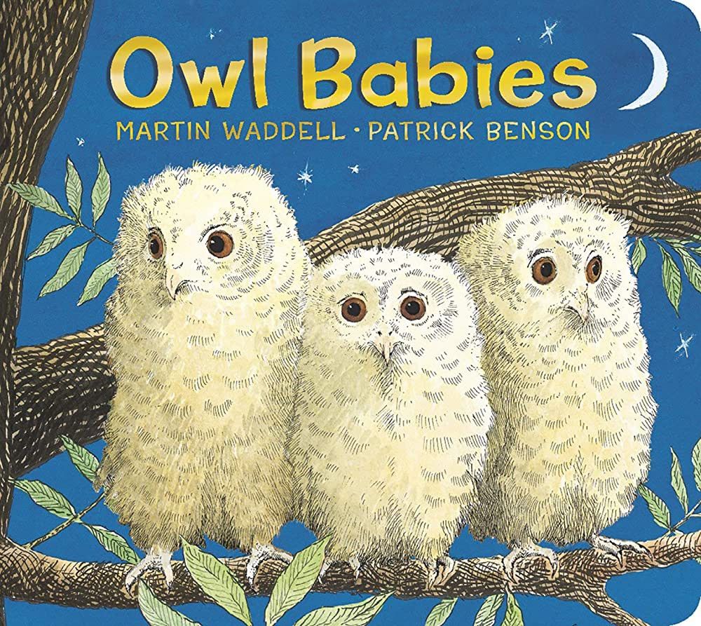 Owl Babies: Padded Board Book | Amazon (US)