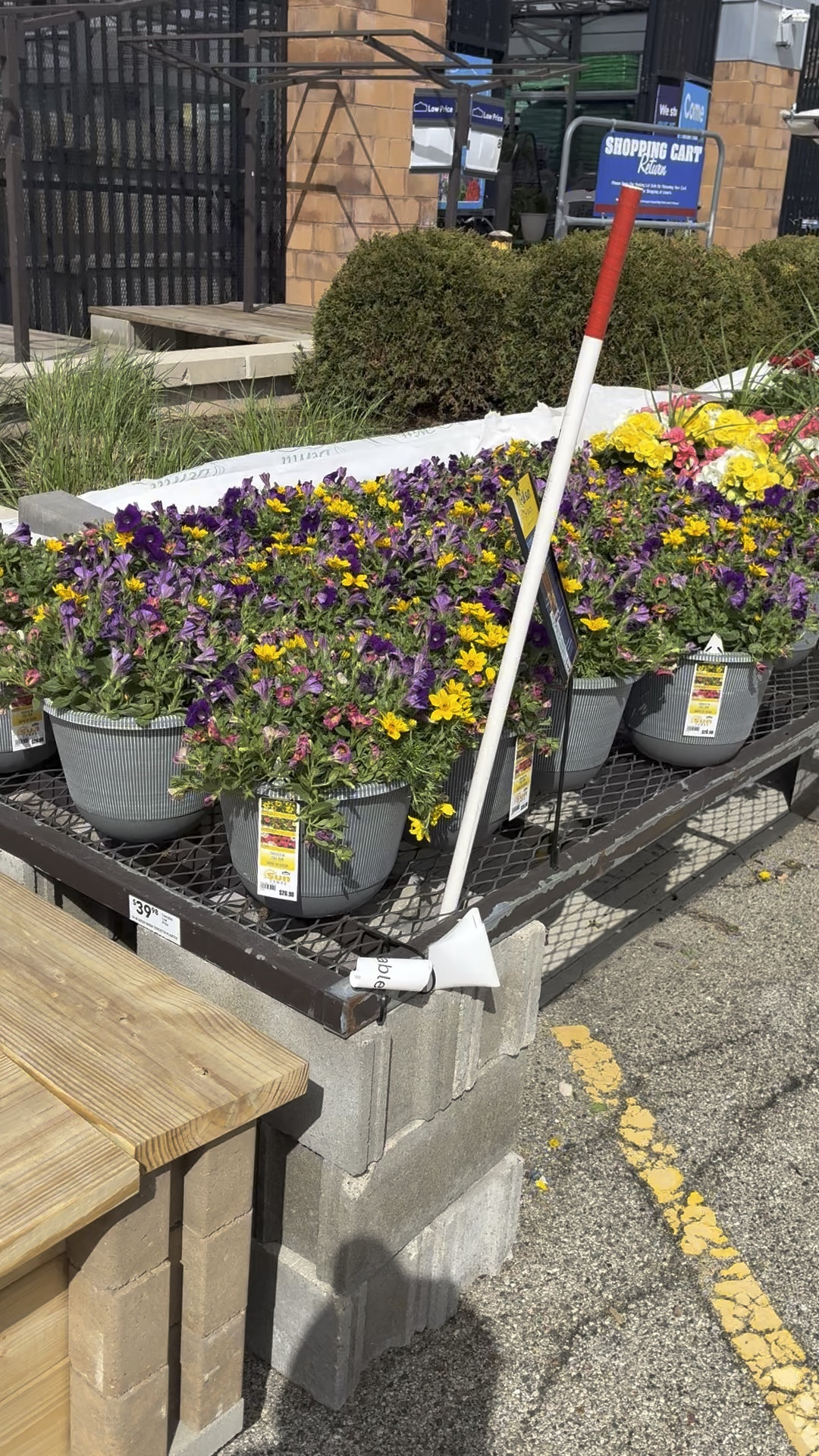 #ad @lowes 

#LTKMothersDay #LTKselfcare #LTKSeasonal