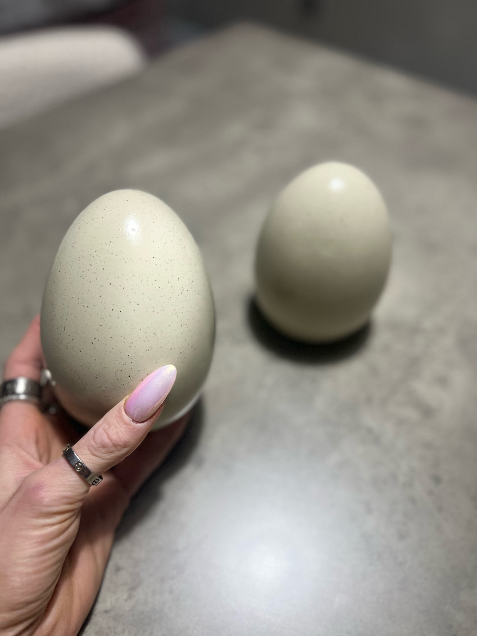 Obsessed with these neutral, porcelain Easter eggs i found! 🥚🌷 (I added a few more beautiful ones that I found on the website as well) #EasterHome #SpringDecor

#LTKhome #LTKSeasonal #LTKSpringSale