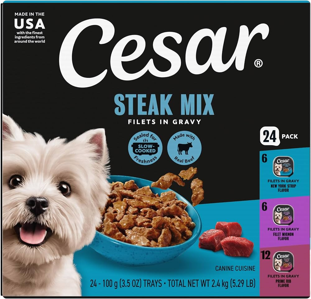 Cesar Filets in Gravy Wet Dog Food, Steak Mix Variety, 3.5 oz, 24 Count | Amazon (US)