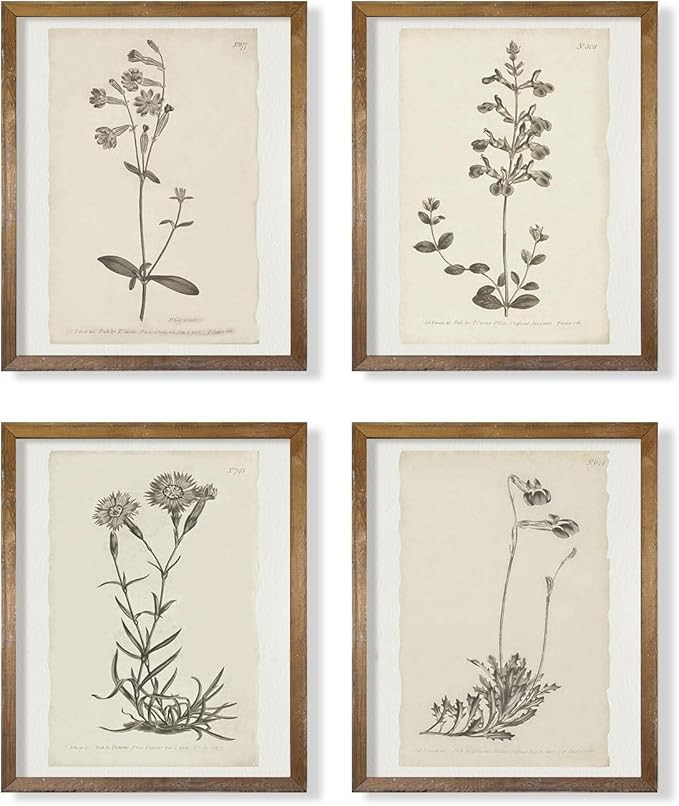 Vintage Botanical Plant Wall Art Prints - Neutral Minimalist Flower Posters Picture for Bedroom, ... | Amazon (US)