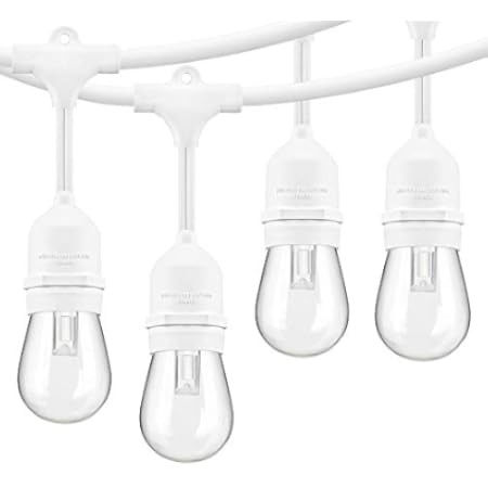 WENFENG 3 Color Selectable Waterproof Outdoor String Lights, 48 Feet Connectable Remote Control P... | Amazon (US)