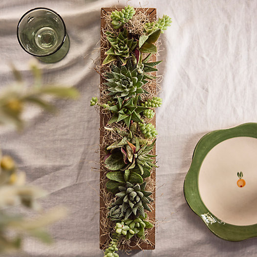 Shade-Loving Succulent Centerpiece Planter | Terrain