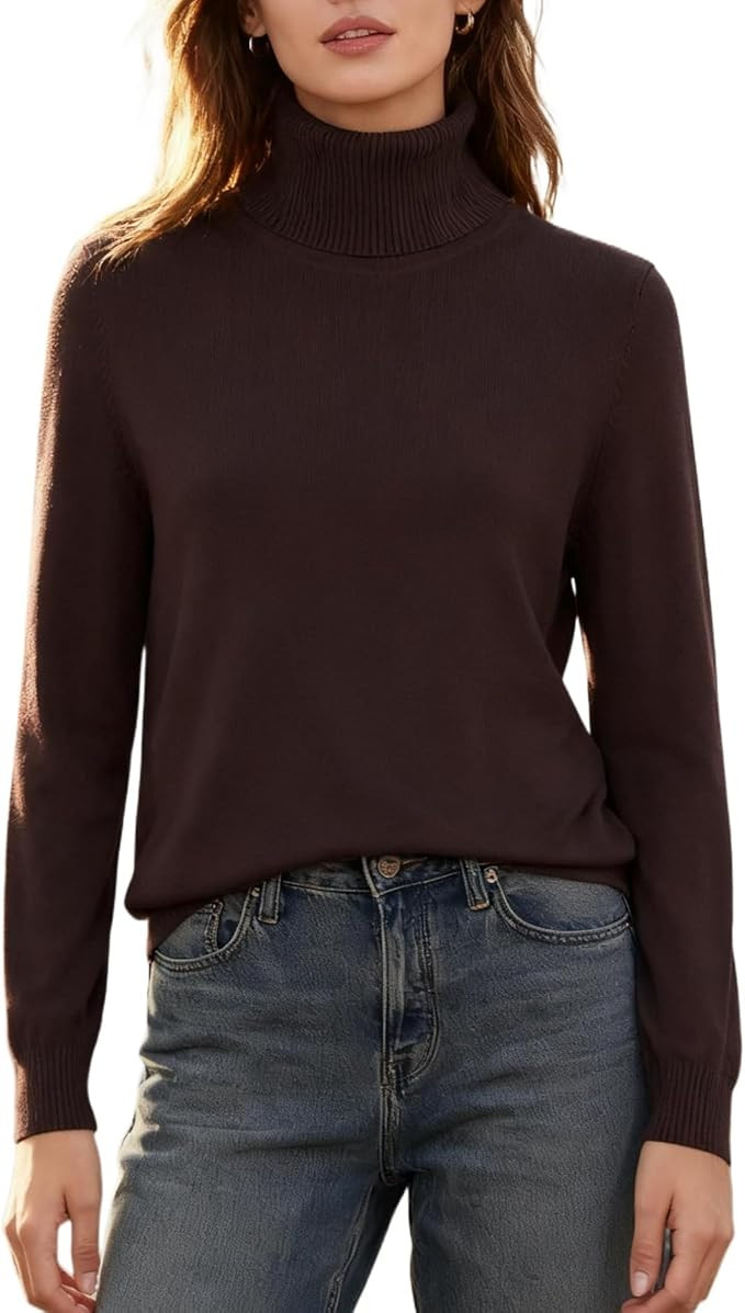 DAIMIDY Turtleneck Sweaters for Women Long Sleeve Knit Pullover Sweater Top Fall Winter Fashion O... | Amazon (US)