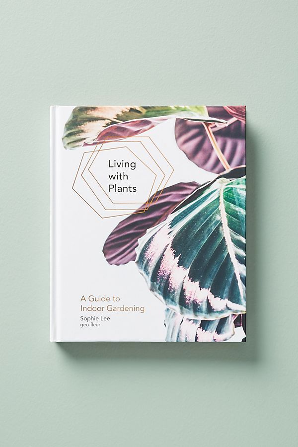 Living With Plants | Anthropologie (US)