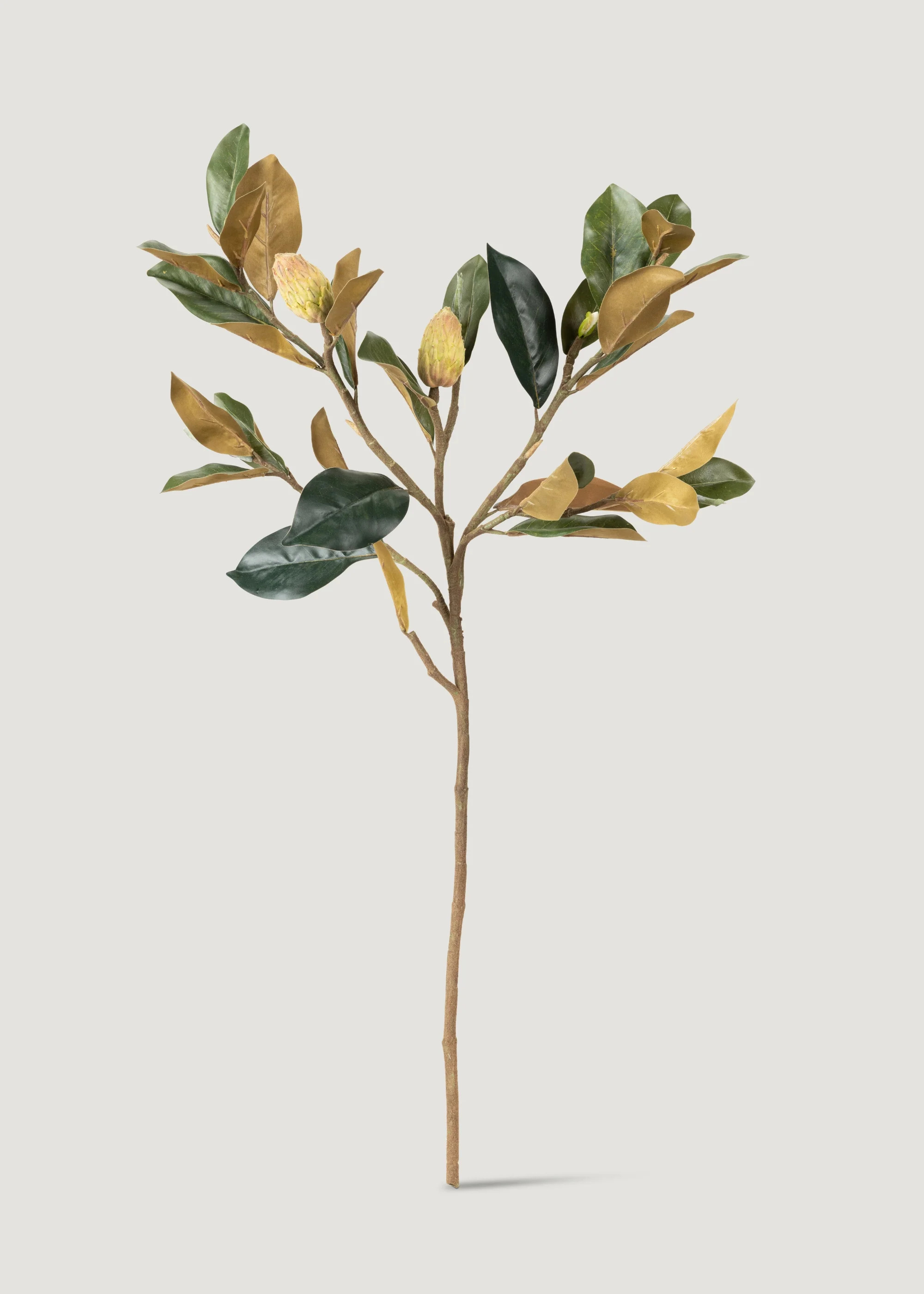 Artificial Budding Magnolia Leaf Branch - 37" | Afloral