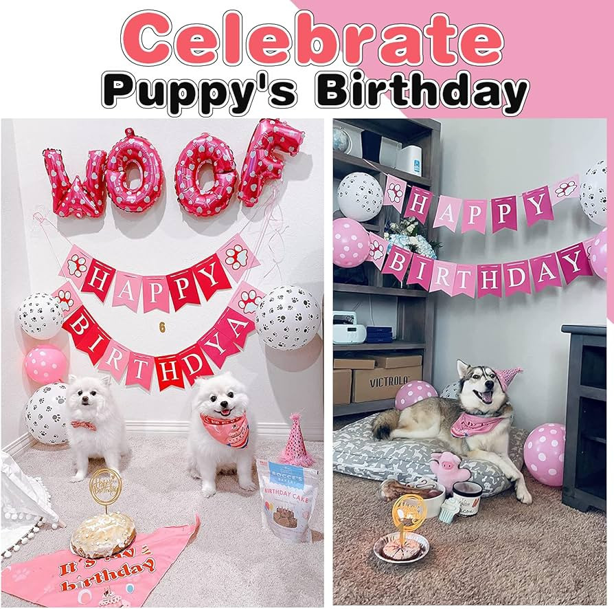 AROIC Dog Birthday Bandana Set, Pet Party Decorations Kit with 2 Bandanas, Fun Pet Birthday Party... | Amazon (US)