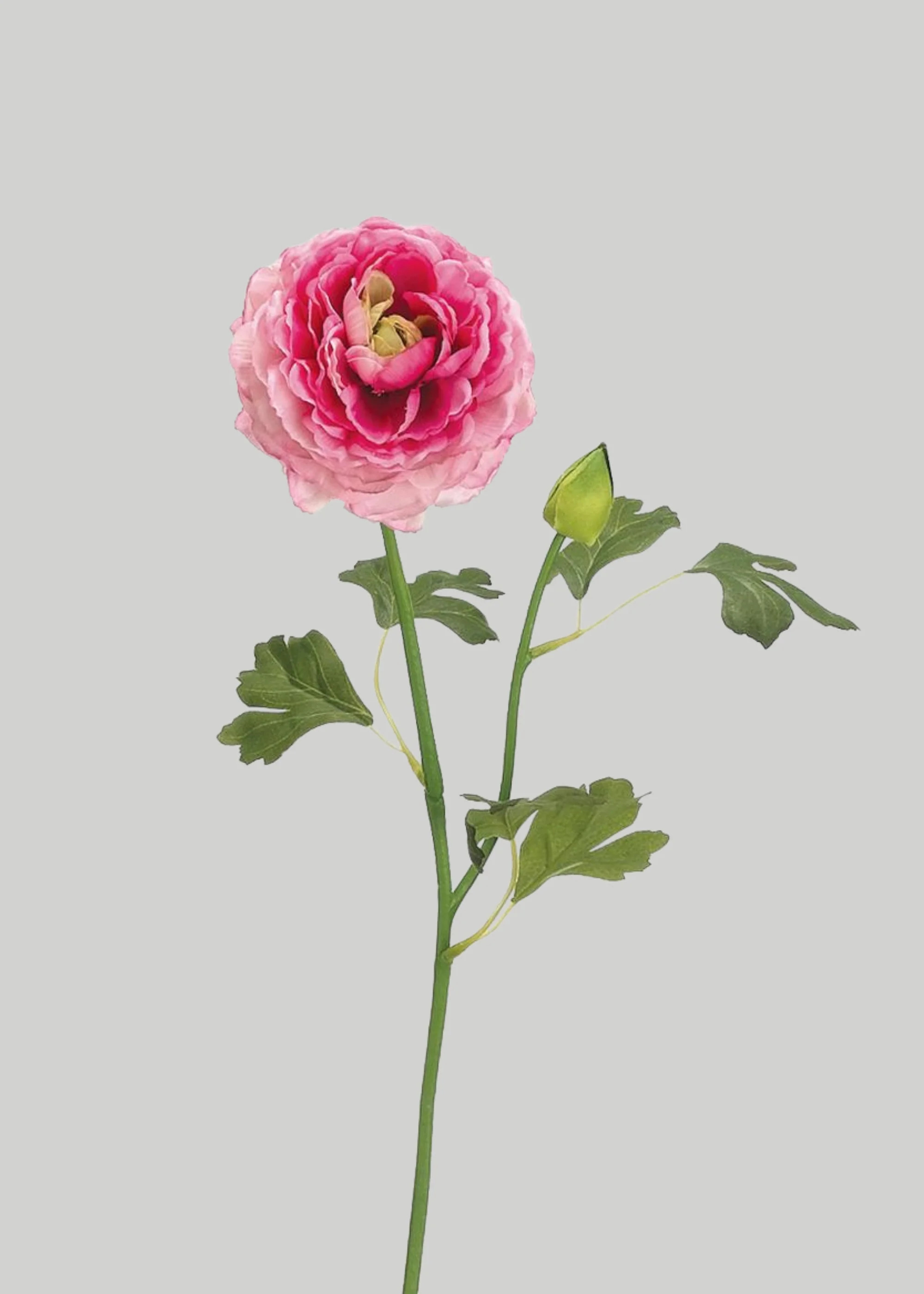 Artificial Ranunculus Flower in Cerise Pink - 19 | Afloral