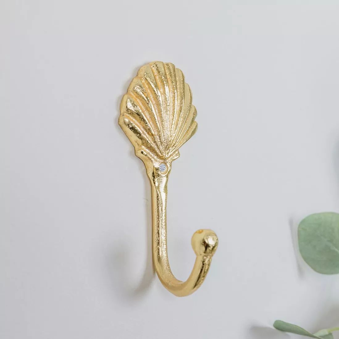 Gold Shell Wall Hook | Debenhams UK