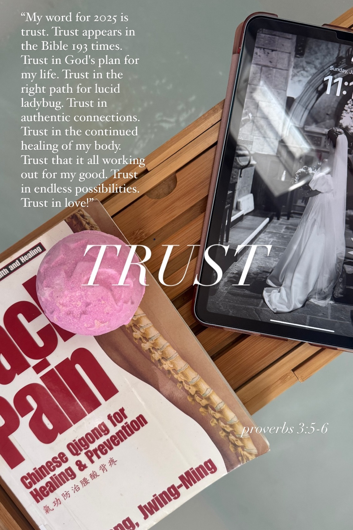 “My word for 2025 is trust. Trust appears in the Bible 193 times. Trust in God's plan for my life. Trust in the right path for lucid ladybug. Trust in authentic connections. Trust in the continued healing of my body. Trust that it all working out for my good. Trust in endless possibilities. Trust in love!” TRUST proverbs 3:5-6