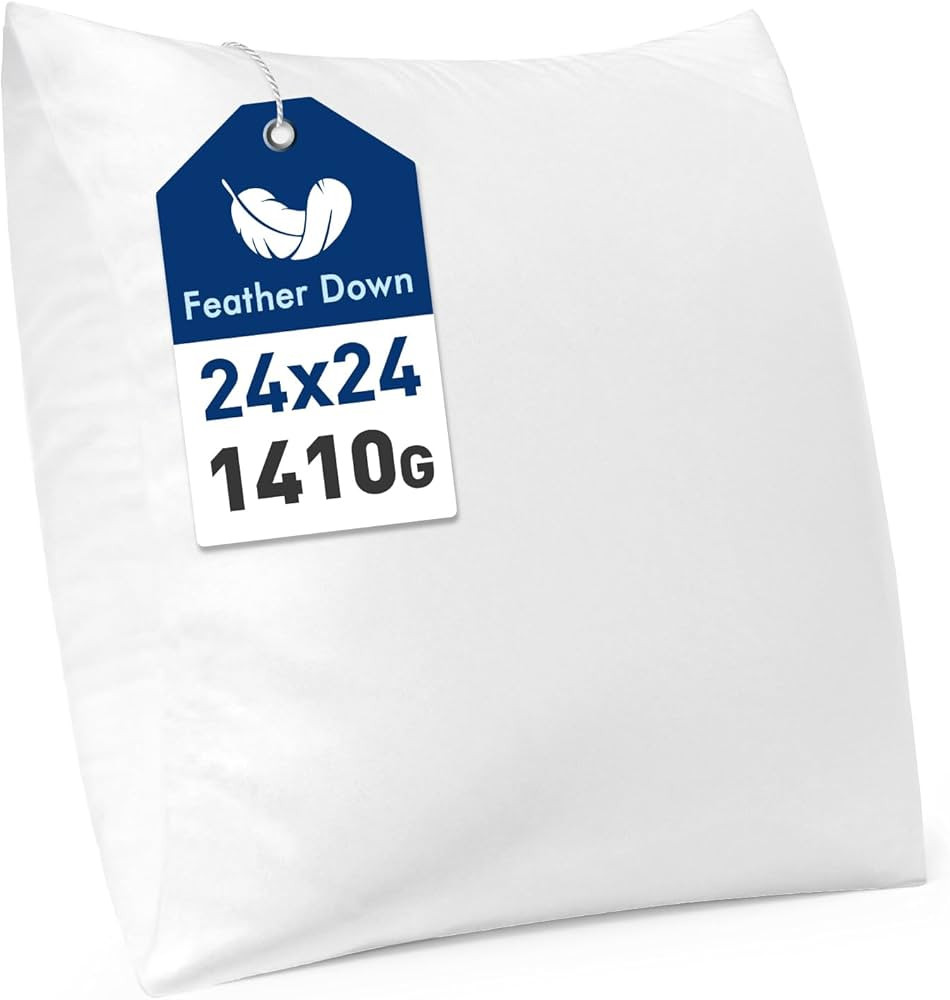 MIULEE Premium Feather and Down 24x24 Throw Pillow Insert Soft Fluffy Throw Pillow Double-Layer C... | Amazon (US)