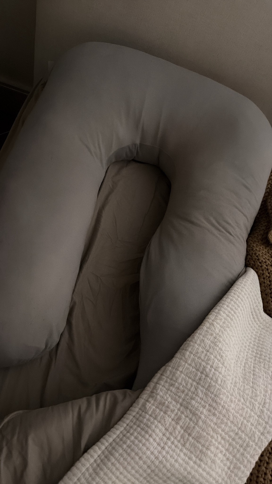 This pillow has saved me through pregnancy. I had one shipped wherever we traveled 

#LTKmomlife #LTKBaby #LTKBump