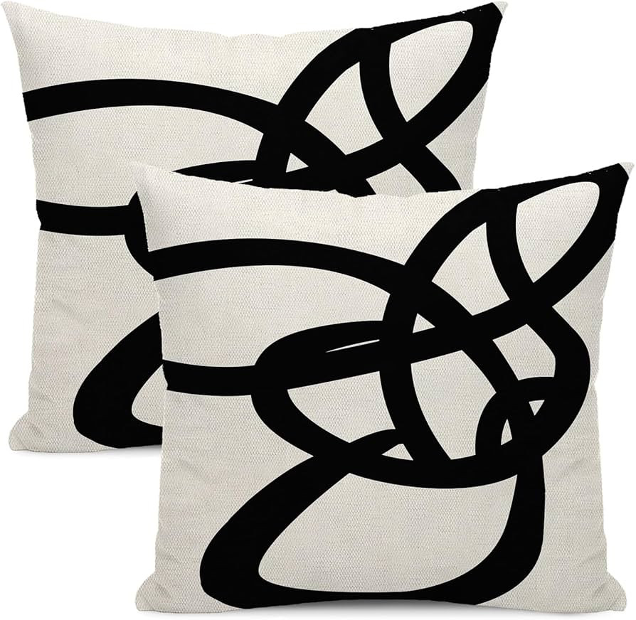 Black And White Pillow Covers 18x18 Set Of 2 Geometric Abstract Modern Art Line Throw Pillow Cove... | Amazon (US)