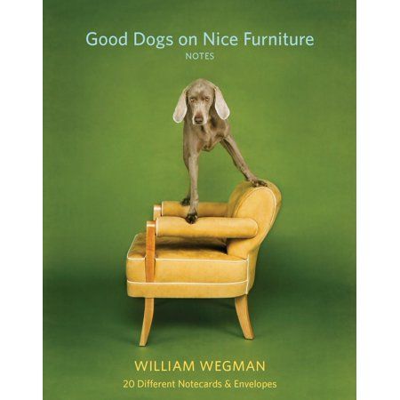 Good Dogs on Nice Furniture Notes : 20 Different Notecards & Envelopes | Walmart (US)