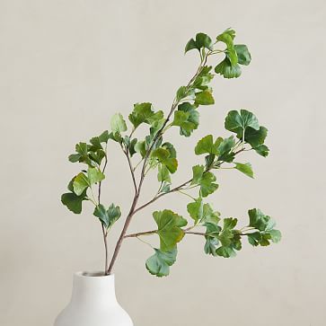 Faux Gingko Branch - Green | West Elm (US)
