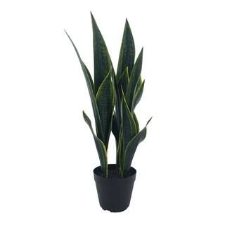 20.5" Potted Green Snake Leaf Plant by Ashland® | Michaels Stores