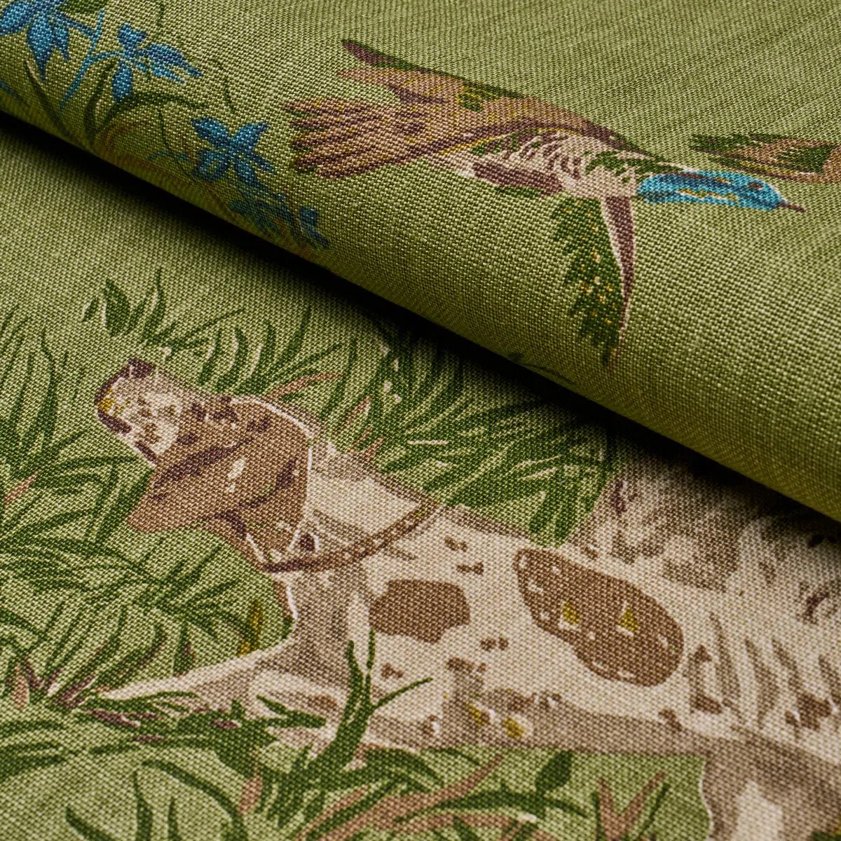 Schumacher Pointers Fabric | Wayfair | Wayfair North America