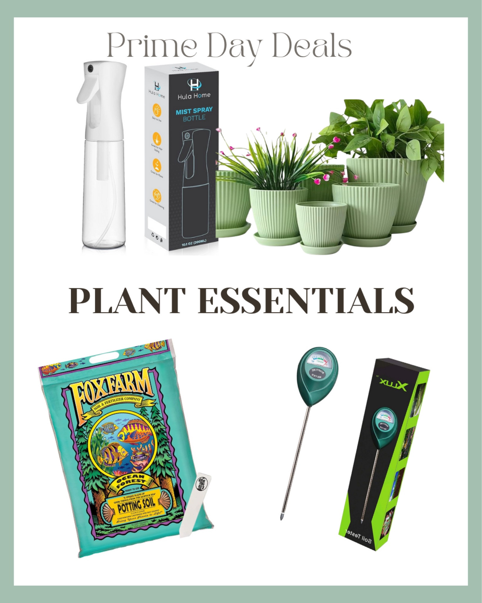 Everything you’ll need when becoming a plant mom/dad 