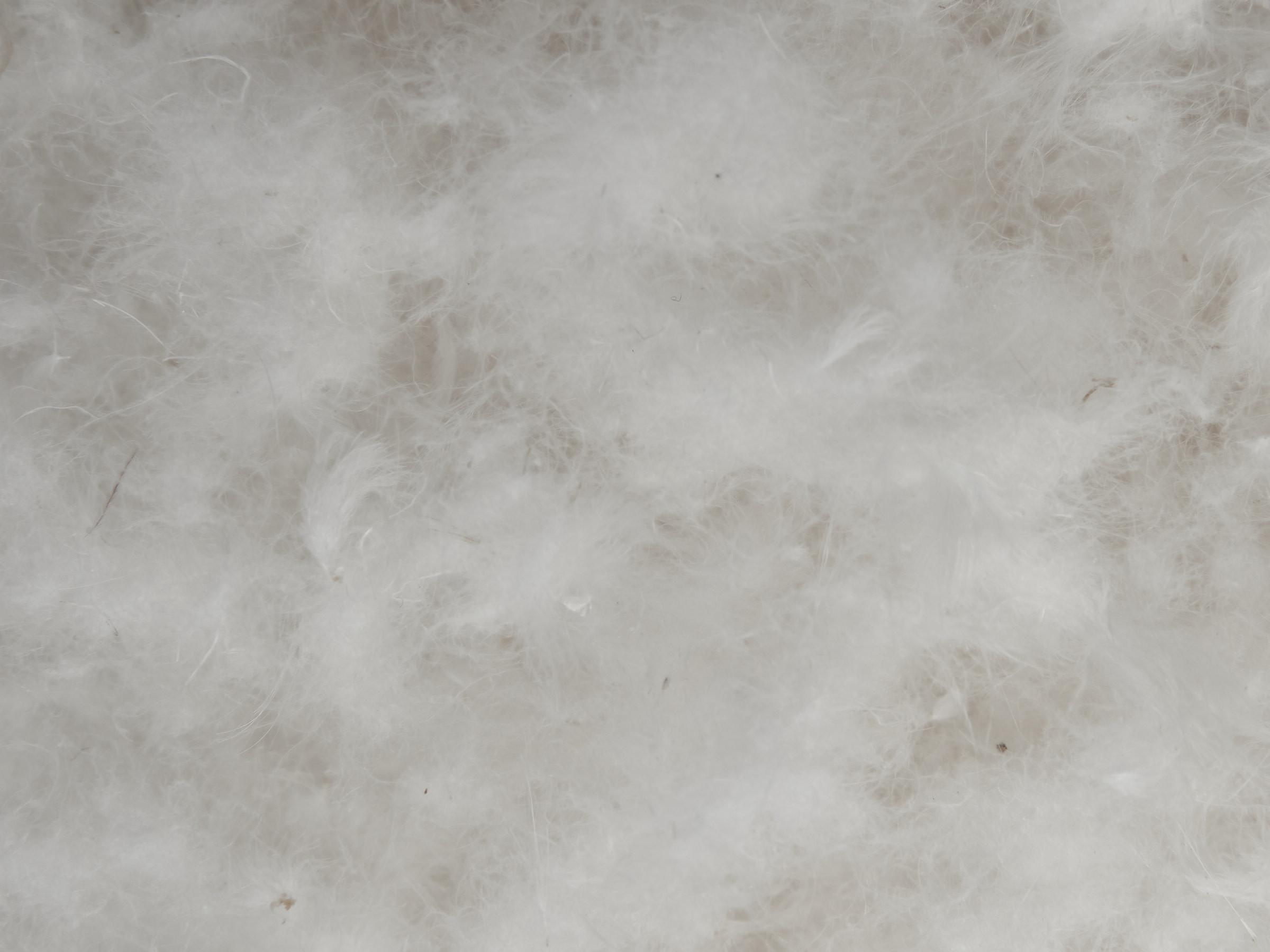 Down Duvet Insert | Parachute