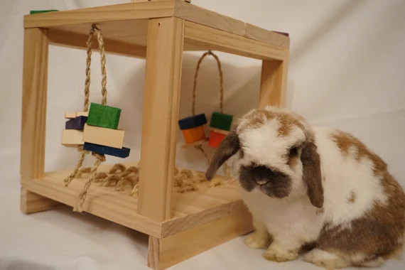 1 ft. x 1 ft. Rabbit Toy Table | Etsy (US)