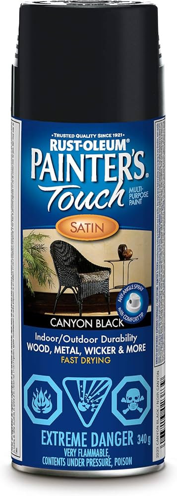 Rust-Oleum Painter's Touch Spray Paint in Satin Canyon Black, 340g | Amazon (CA)