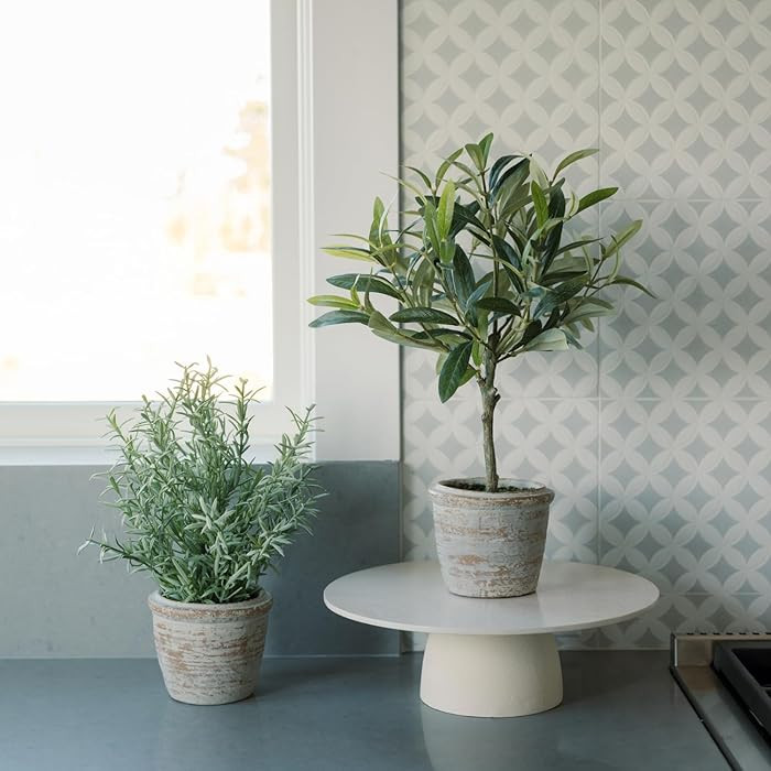 CG Hunter Faux Rosemary Plant & Olive Topiary, Set-of-2 Premium Artificial Indoor Plants, Enhance... | Amazon (US)