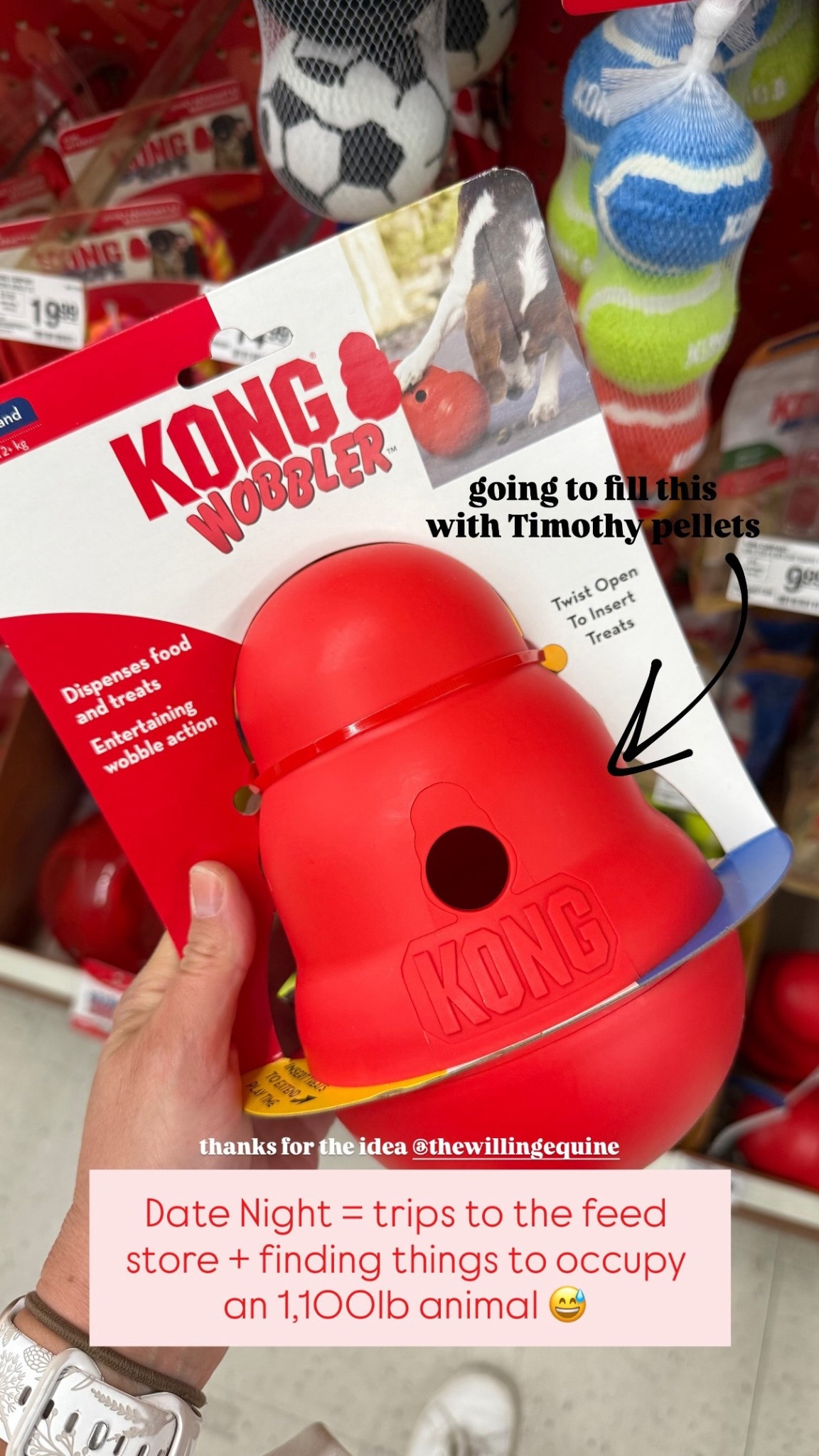 Horse Enrichment Idea 🐴 



Horse Gift Ideas | Stocking Stuffers

#LTKGiftGuide #LTKHoliday