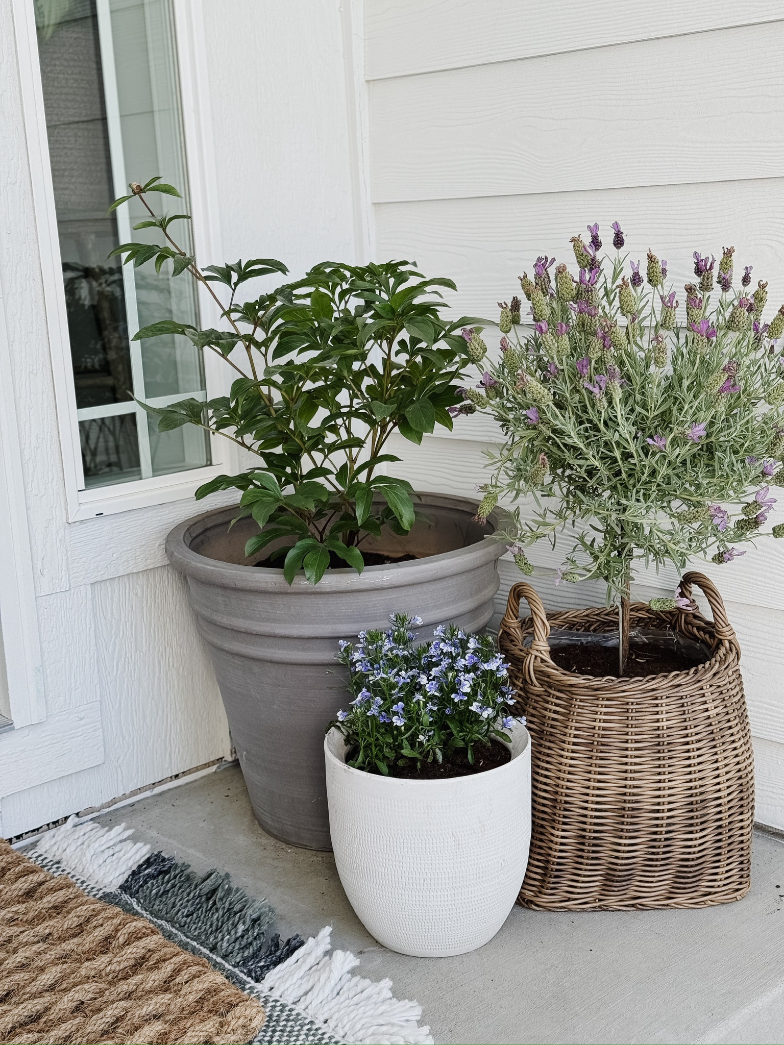 Today is the last day to shop the Memorial Day sale at McGee & Co! These stunning planters are on sale and such great quality. These woven basket planters were a top favorite in 2023 and they’re back in stock in both sizes and colors right now!! 

#LTKSaleAlert #LTKSeasonal #LTKStyleTip