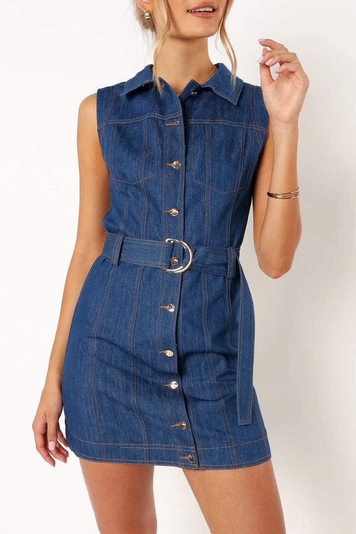 Parker Mini Dress - Denim | Petal & Pup (US)